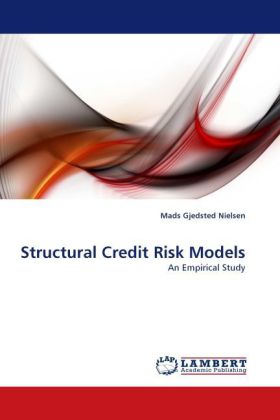 Structural Credit Risk Models