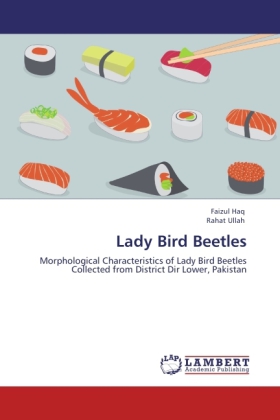 Lady Bird Beetles