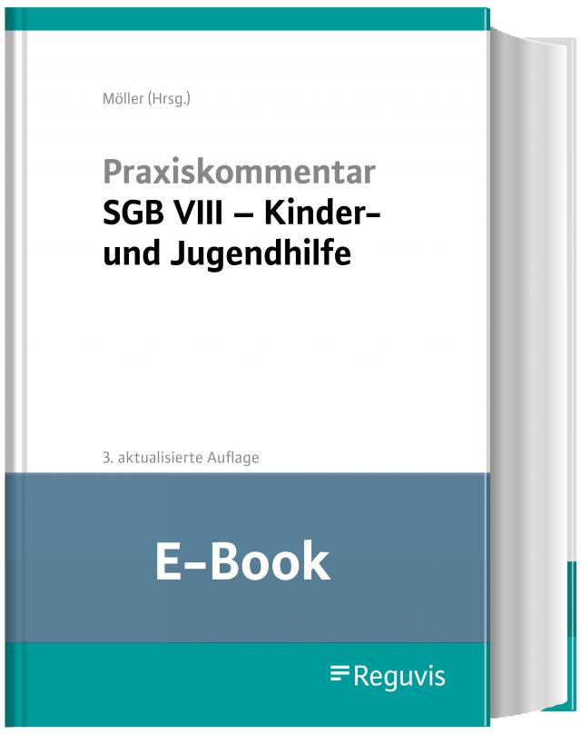 Praxiskommentar SGB VIII - Kinder- und Jugendhilfe (E-Book)