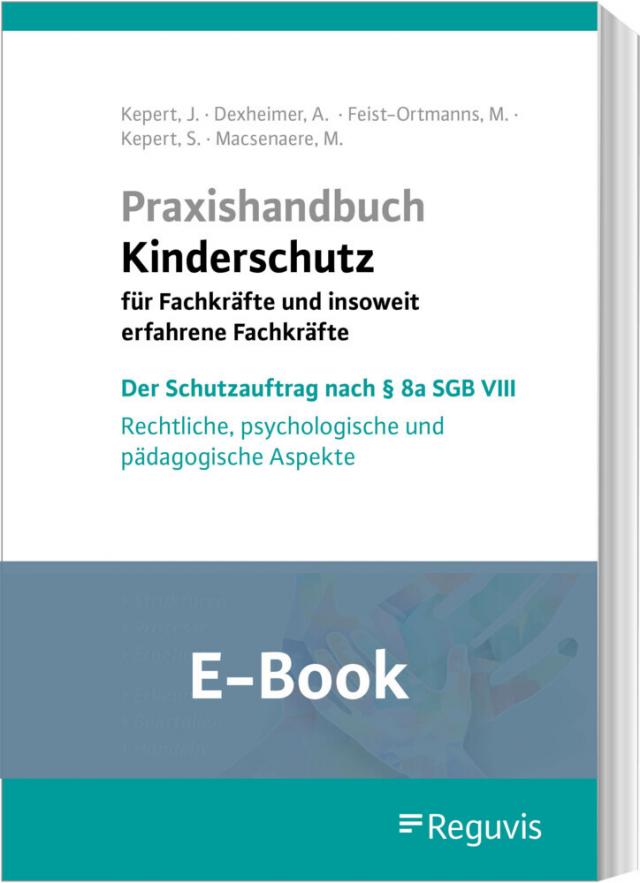 Praxishandbuch Kinderschutz für Fachkräfte und insoweit erfahrene Fachkräfte  (E-Book)