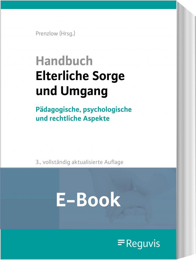 Handbuch Elterliche Sorge und Umgang (E-Book)