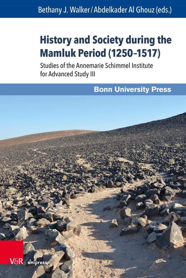 History and Society during the Mamluk Period (1250–1517)
