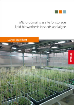 Micro-domains as site for storage lipid biosynthesis in seeds and algae