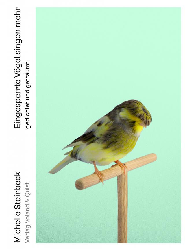 Eingesperrte Vögel singen mehr