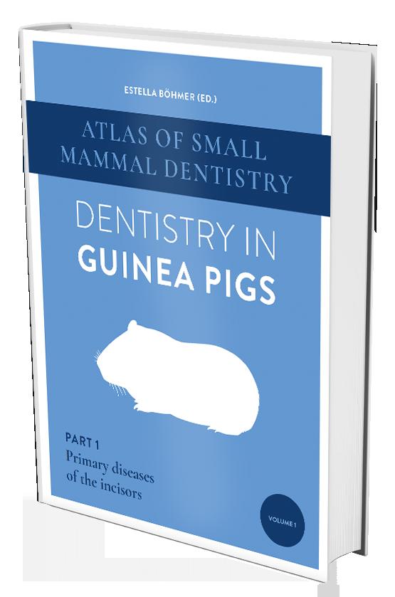 Dentistry in Guinea Pigs