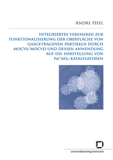 Integriertes Verfahren zur Funktionalisierung der Oberfläche von gasgetragenen Partikeln durch MOCVS/MOCVD und dessen Anwendung auf die Herstellung von Pd/SiO2-Katalysatoren