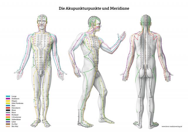Lernposter – Die Akupunkturpunkte und Meridiane