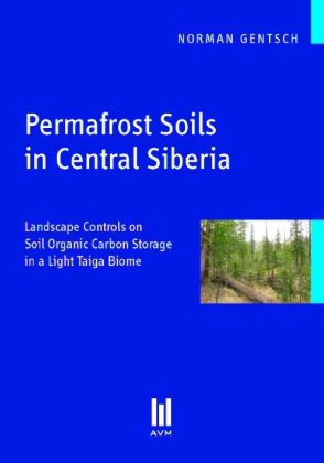 Permafrost Soils in Central Siberia