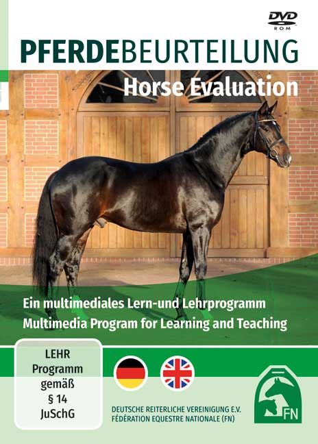 Pferdebeurteilung /Horse Evaluation