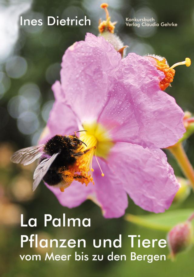 La Palma. Pflanzen und Tiere vom Meer bis zu den Bergen