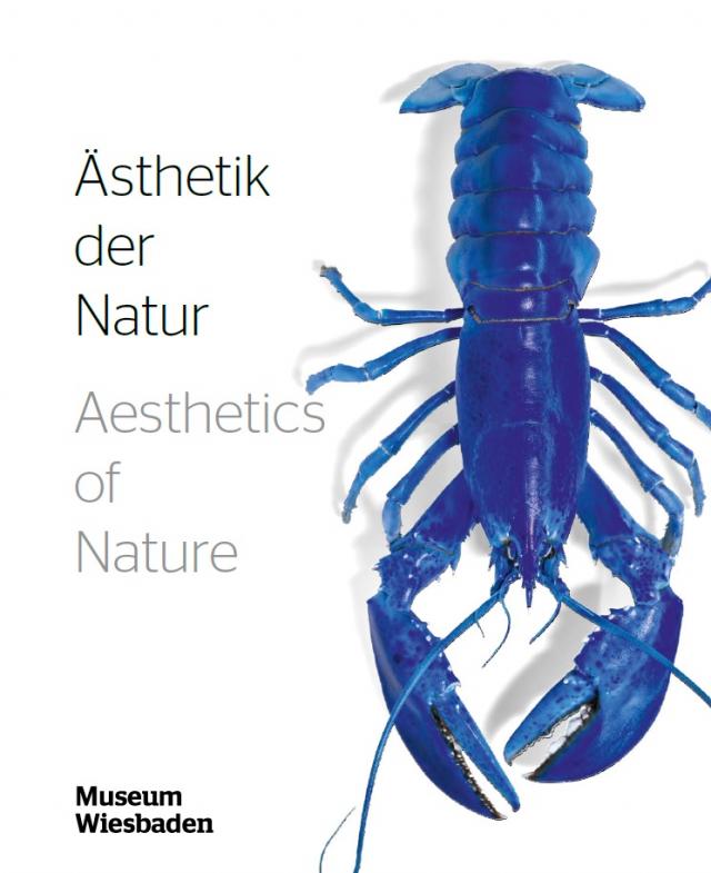 Ästhetik der Natur - Aesthetics of Nature