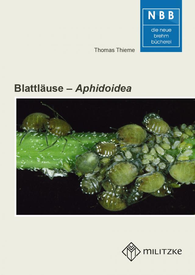 Blattläuse – Aphidoidea