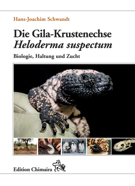 Die Gila-Krustenechse Heloderma suspectum.