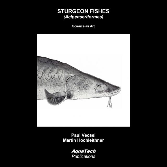 Sturgeon Fishes (Acipenseriformes)