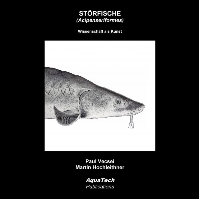Störfische (Acipenseriformes)