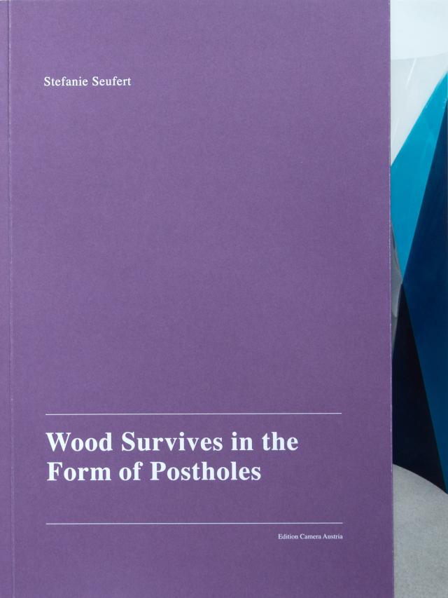 Wood Survives in the Form of Postholes