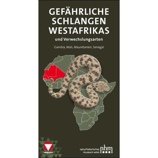 Gefährliche Schlangen Westafrikas und Verwechslungsarten