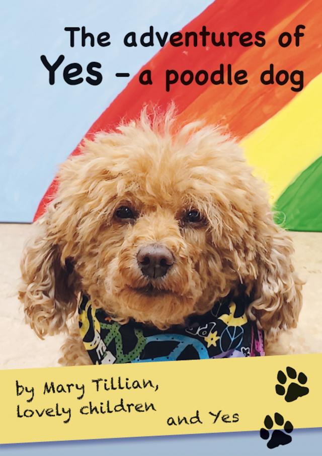 The adventures of Yes – a poodle dog