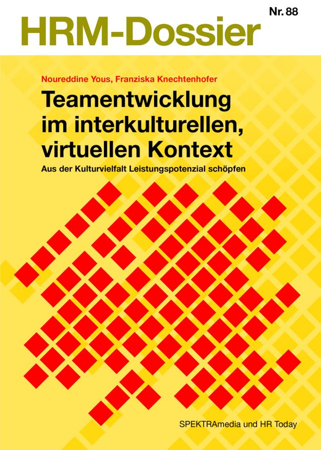 Teamentwicklung im interkulturellen, virtuellen Kontext