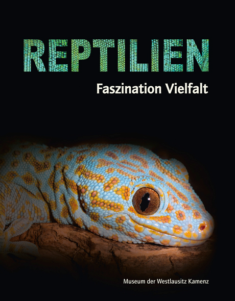 Reptilien - Faszination Vielfalt