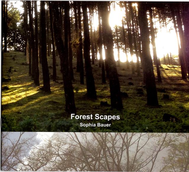 Forest Scapes- ARABUKO SOKOKE
