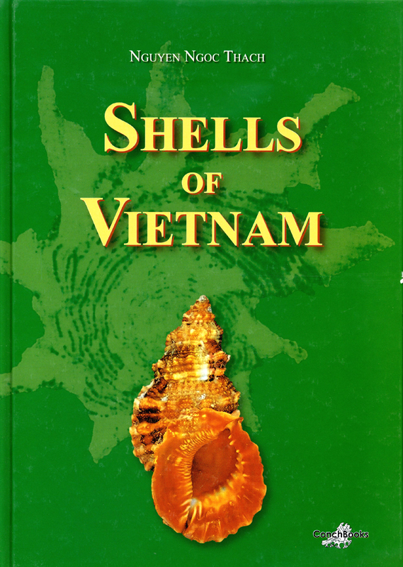 Shells of Vietnam