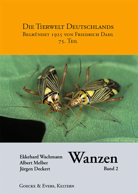 Wanzen Band 2
