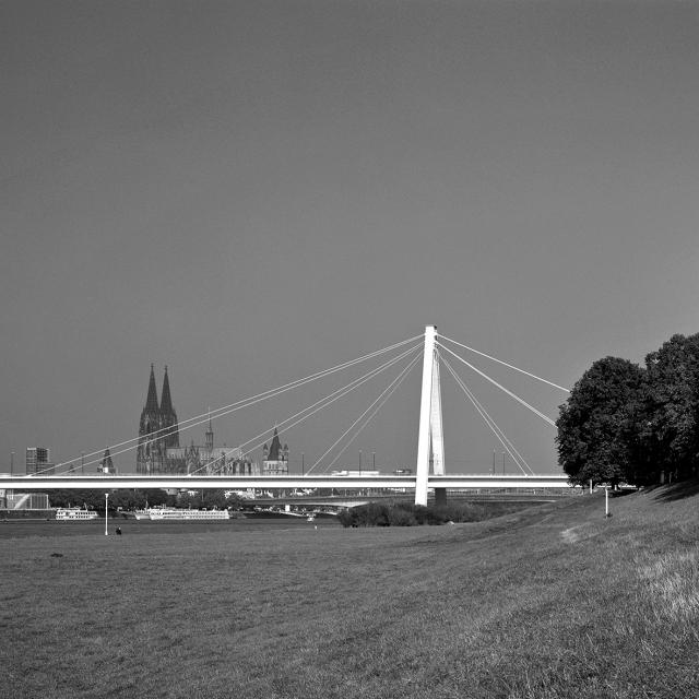 Rheinbrücken / Rhine Bridges