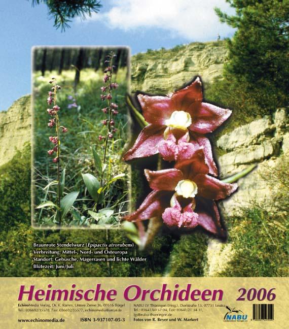 Heimische Orchideen III (2006)