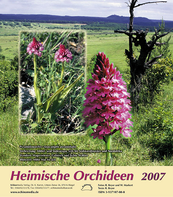 Heimische Orchideen IV (2007)