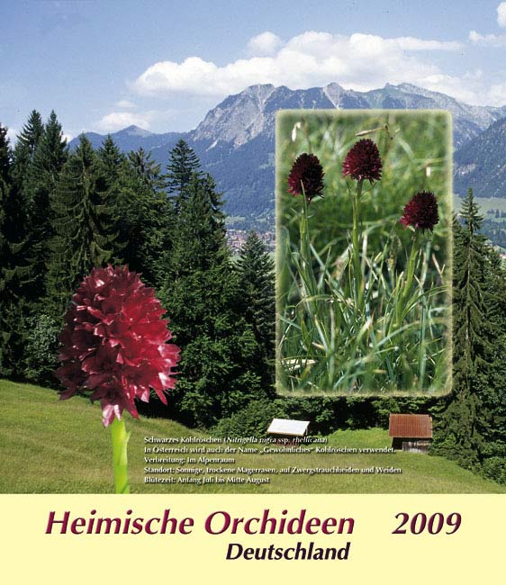 Sammelbilder Heimische Orchideen (2009)