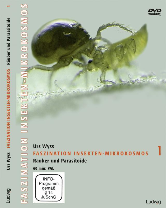 Faszination Insekten-Mikrokosmos 1 Räuber und Parasitoide