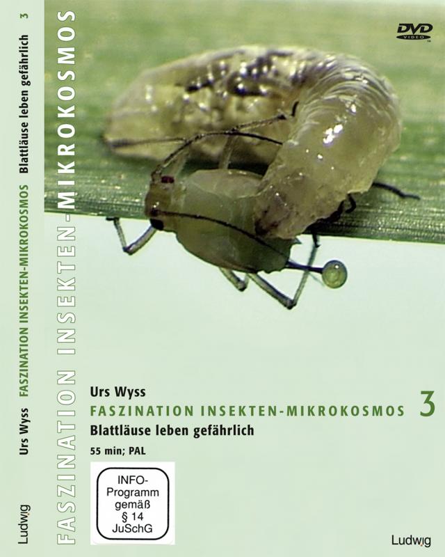 Faszination Insekten-Mikrokosmos 3 Blattläuse leben gefährlich