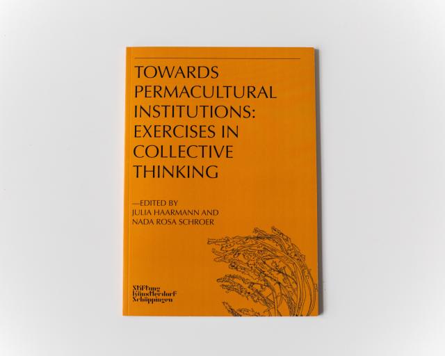 Towards Permacultural Institutions: Exercises in Collective Thinking