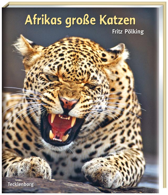 Afrikas große Katzen