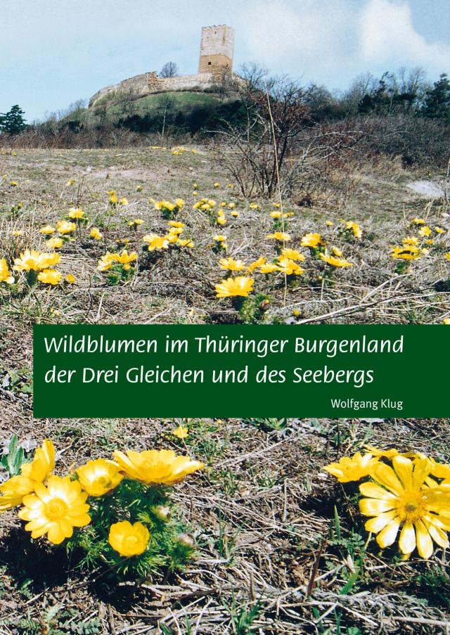Wildblumen im Thüringer Burgenland