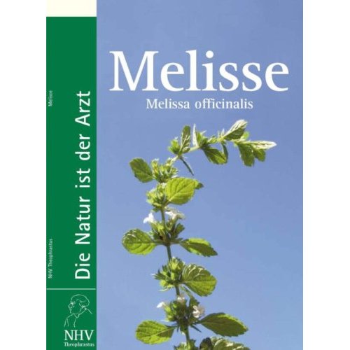 Melisse - Melissa officinalis