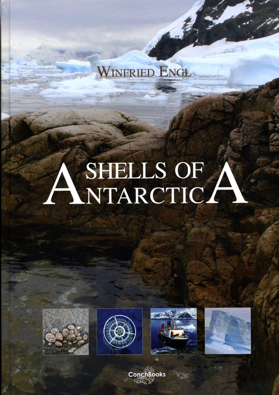 Shells of Antarctica