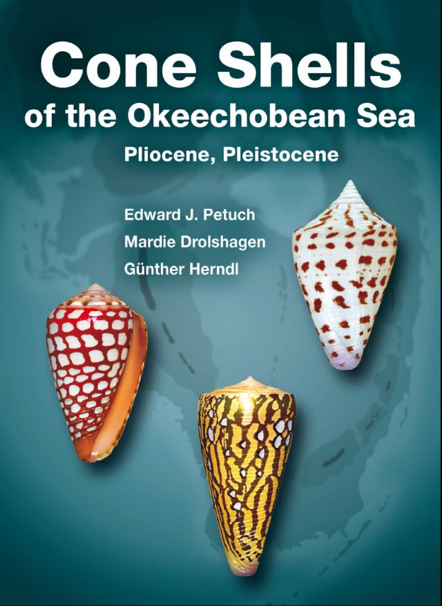 Cone Shells of the Okeechobean Sea