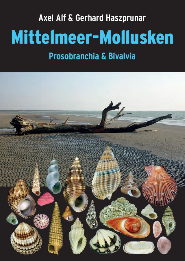 Mittelmeer-Mollusken