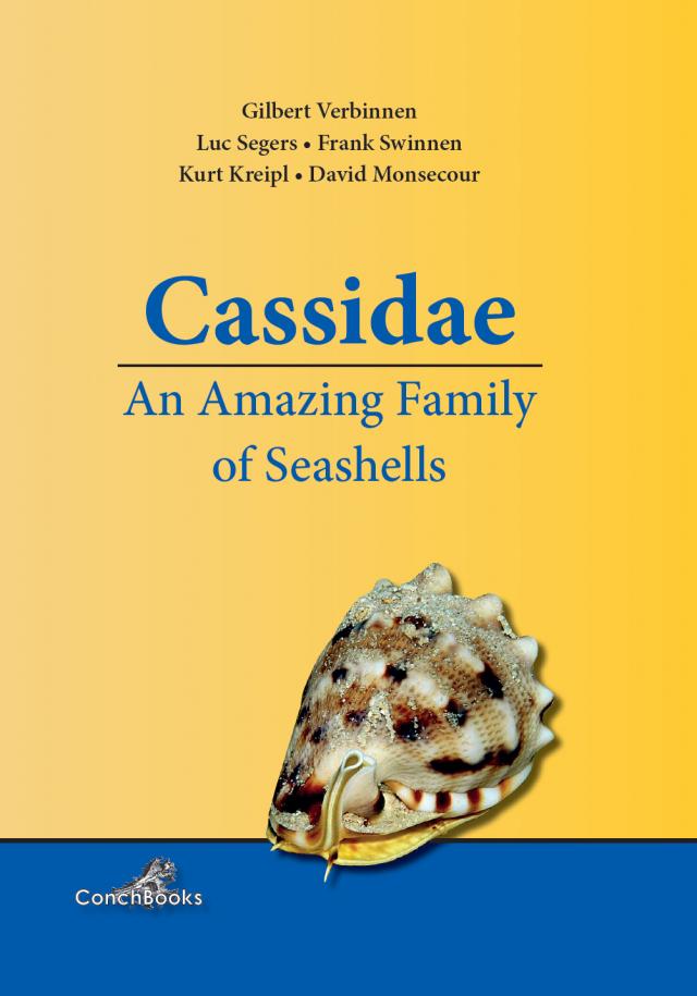 Cassidae - An Amazing Family of Seashells