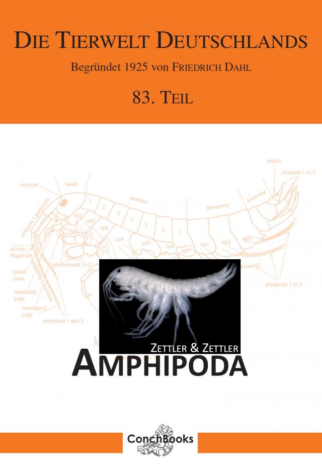 Marine and freshwater Amphipoda from the Baltic Sea and adjacent territories