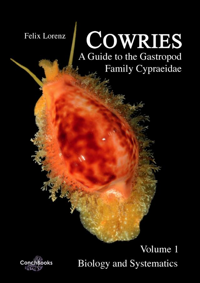 Cowries - A Guide to the Gastropod Family Cypraeidae