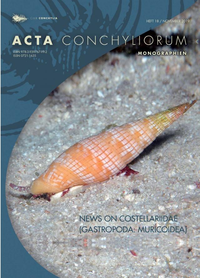News on Costellariidae (Gastropoda: Muricoidea)