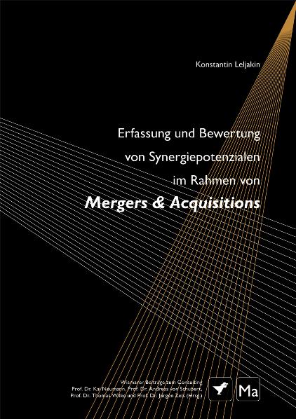 Erfassung und Bewertung von Synergiepotenzialen im Rahmen von Mergers & Acquisitions