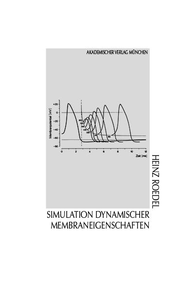 Simulation dynamischer Membraneigenschaften