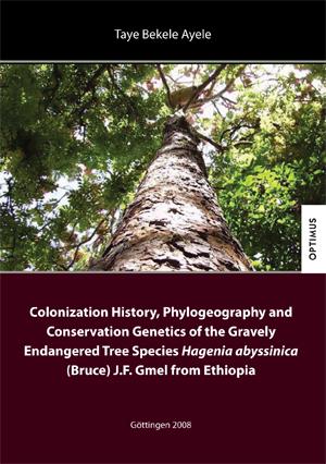 Colonization History, Phylogeography and Conservation Genetics of the Gravely Endangered Tree Species Hagenia abyssinica (Bruce) J.F. Gmel from Ethiopia