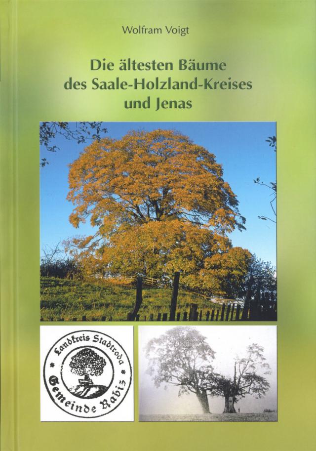Die ältesten Bäume des Saale-Holzland-Kreises und Jenas