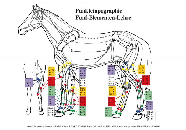 Fünf-Elementenkarte Pferd