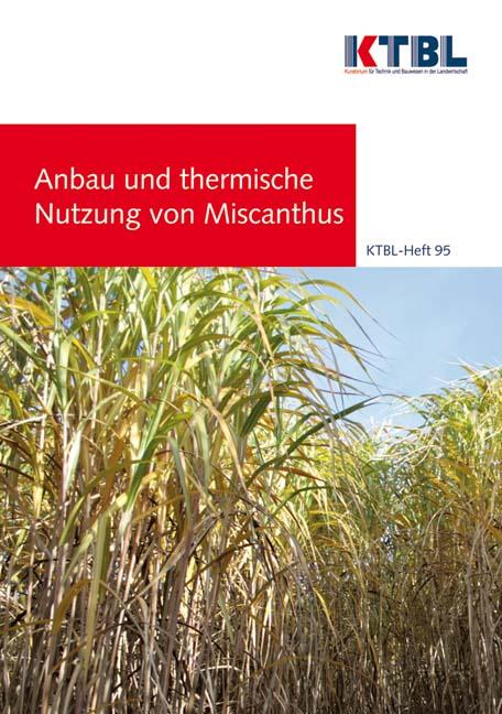 Anbau und thermische Nutzung von Miscanthus